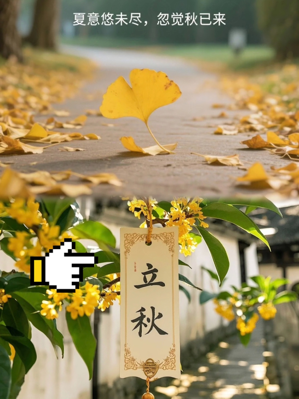 第342页